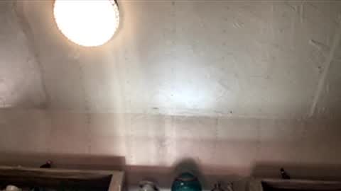 countryjoe2002 online show from 12-18-25, 06:47