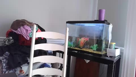 Snapshot of countrylovin2018 chatting on 03-04-25, 05:56 Fallen Angel 21 online show from 03-04-25, 05:56