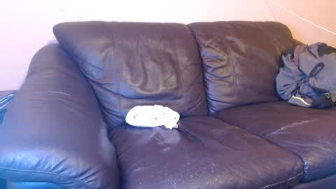 Tony online show from 03-01-25, 05:20