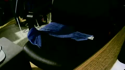 coyote017 online show from 02-09-25, 04:18