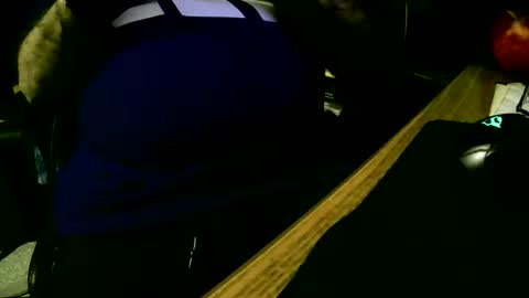 coyote017 online show from 02-19-25, 04:55