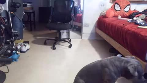 drbucknaked online show from 04-16-26, 11:07