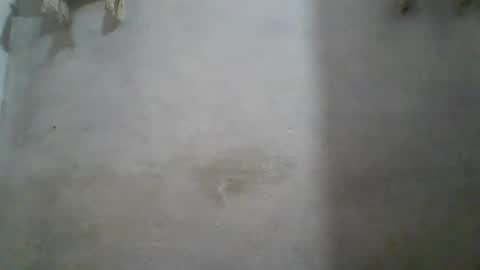 crazzy_booy online show from 06-11-26, 04:32