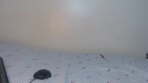 creamybabes0 online show from 12-16-25, 05:12