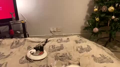 Snapshot of creamycouple1 chatting on 12-27-24, 02:47 Creamycouple1 online show from 12-27-24, 02:47