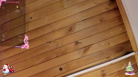 Cristal online show from 11-23-25, 04:12