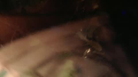 cryan96 online show from 02-02-25, 06:31