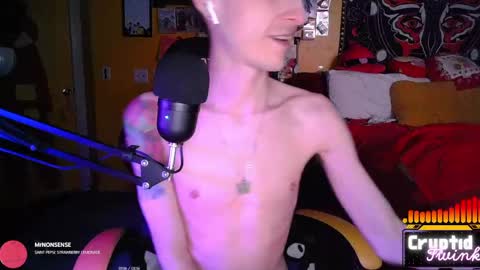 CryptidTwink online show from 04-03-26, 06:22