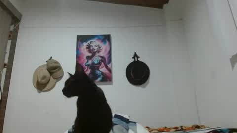 Crystal Blaze online show from 03-17-26, 09:12