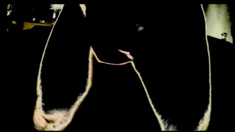 cum4me2i812 online show from 07-23-26, 12:46