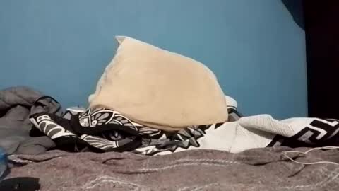 cumbian_chero online show from 02-22-25, 01:22