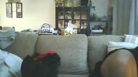 Snapshot of cumdumpslutfag chatting on 06-11-26, 09:51 cumdumpslutfag online show from 06-11-26, 09:51