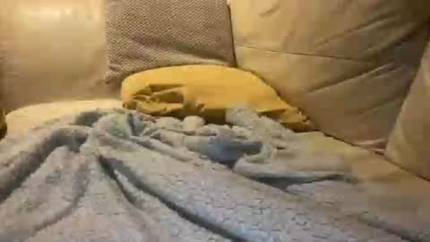 Cumfar online show from 12-18-25, 02:39