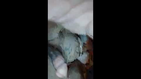 Snapshot of cumsinmealot chatting on 09-23-25, 10:51 Aprilia online show from 09-23-25, 10:51