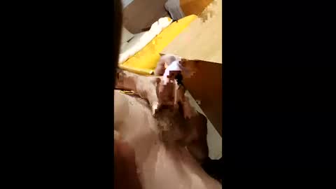 Snapshot of cunnemammaru chatting on 12-16-25, 11:43 cunnemammaru online show from 12-16-25, 11:43