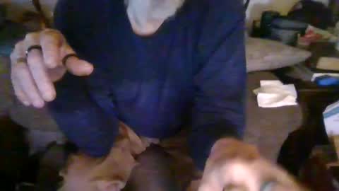 Snapshot of cunnibob chatting on 03-02-25, 01:58 cunnibob online show from 03-02-25, 01:58