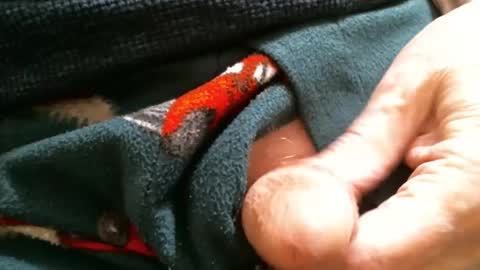 Snapshot of cutandwaxed2 chatting on 01-29-25, 02:10 BI SMOOTH MATURE  SUB online show from 01-29-25, 02:10