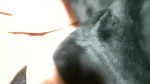 Snapshot of cutandwaxed2 chatting on 03-05-25, 11:27 BI SMOOTH MATURE  SUB online show from 03-05-25, 11:27