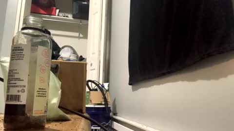 cutealisandra online show from 02-03-26, 03:04