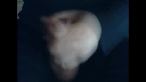 CutieBoy online show from 10-31-25, 11:44