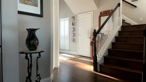 d1075 online show from 12-18-24, 03:33