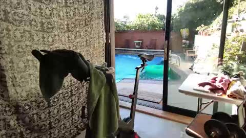 bas online show from 11-09-25, 03:43