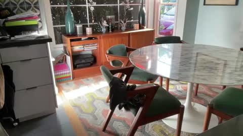 bas online show from 07-28-26, 02:35