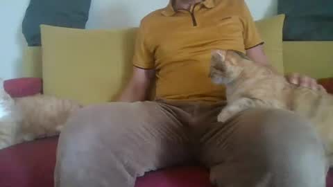 daddycomehome1 online show from 06-01-26, 08:16