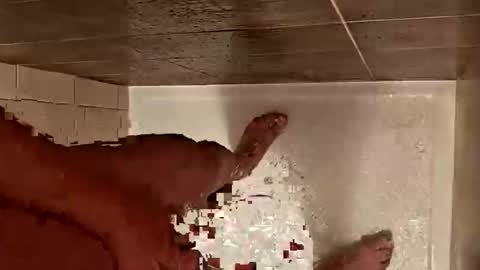 LetsHaveFunTogether online show from 10-29-25, 07:10