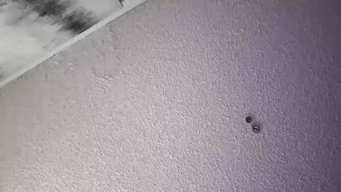 PapiGuerodaddysgirl online show from 04-04-26, 06:00