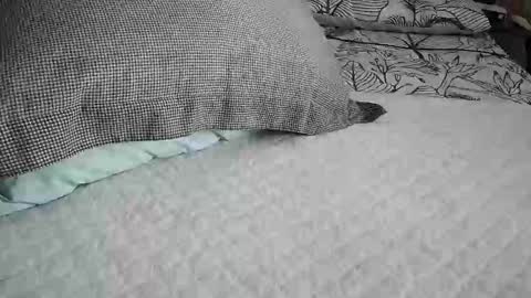 daddyslittleebony online show from 04-29-26, 09:13