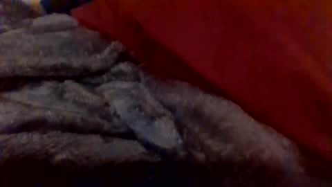 Snapshot of daddywhite88 chatting on 01-14-26, 12:38 daddywhite88 online show from 01-14-26, 12:38