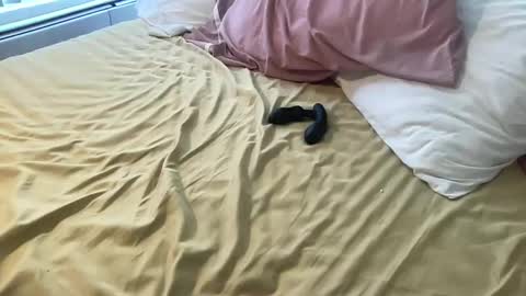 dadstrokin online show from 03-08-26, 05:28