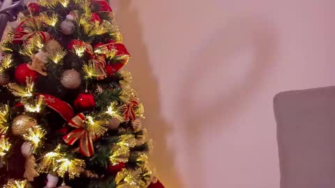 Snapshot of dahliabrowniee chatting on 12-21-24, 10:06 Dahli online show from 12-21-24, 10:06