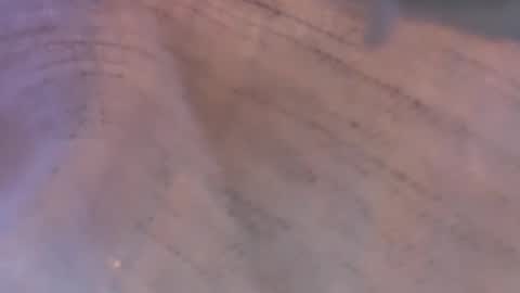 Snapshot of daisy9kat chatting on 03-08-26, 06:44 Daisy137 online show from 03-08-26, 06:44