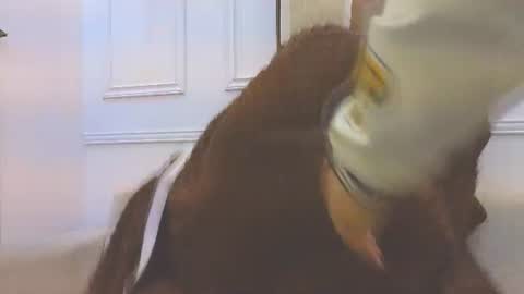 Daisy Price online show from 07-10-26, 10:40