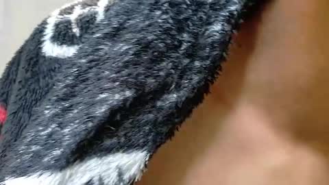 Damian Vadim online show from 05-30-26, 01:08