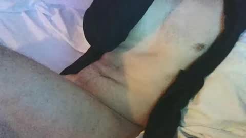 Snapshot of dan567y chatting on 02-28-25, 05:59 dan567y online show from 02-28-25, 05:59