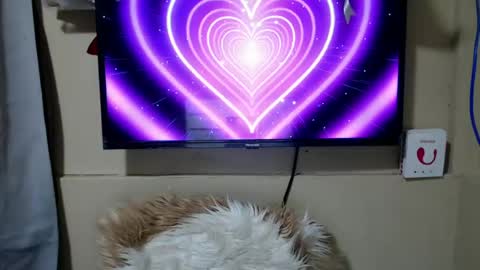 Danica online show from 06-26-26, 11:31