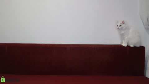 Snapshot of daniel_padalecki chatting on 11-17-25, 06:24 Daniel online show from 11-17-25, 06:24