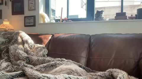 Daniel Bishop  Mason online show from 03-01-26, 08:00