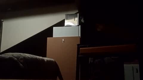 Snapshot of danieldayz chatting on 11-04-25, 10:58 danieldayz online show from 11-04-25, 10:58