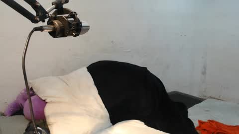 Snapshot of danielitopapii chatting on 12-13-24, 06:49 danielitopapii online show from 12-13-24, 06:49