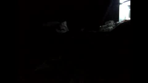 daniellbisous online show from 03-10-26, 09:03