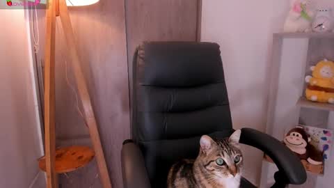 Danielle Rose online show from 11-02-25, 08:22