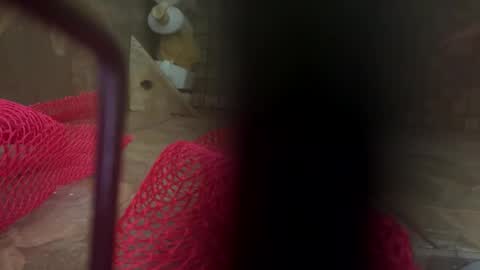 dankcock69420 online show from 11-17-25, 05:24