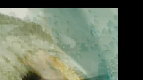 Snapshot of dankshepp chatting on 01-19-26, 01:26 dandeb online show from 01-19-26, 01:26