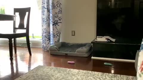 Snapshot of dannyboy621 chatting on 10-25-25, 01:18 dannyboy621 online show from 10-25-25, 01:18