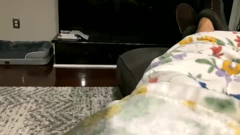 Snapshot of dannyboy621 chatting on 10-30-25, 09:33 dannyboy621 online show from 10-30-25, 09:33