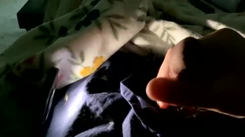 dannyboy621 online show from 11-09-25, 01:53